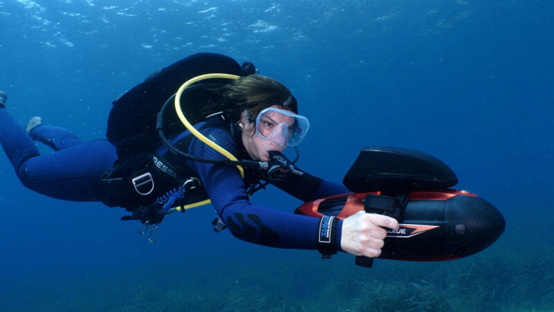 Kỹ Thuật Trồng Chanh Dây Toàn Diện: Từ A-Z Giúp Tăng Năng Suất